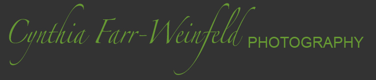 Cynthia Farr-Weinfeld Photography